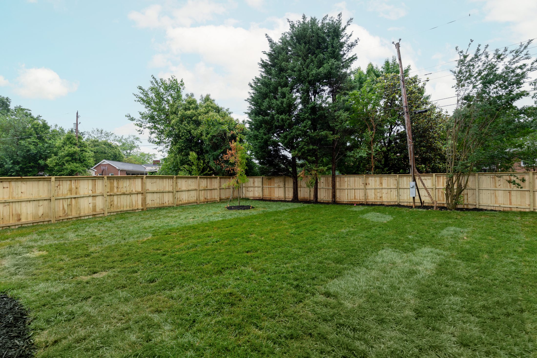 Wide lawn view of the fully sodded Bywood backyard — Bywood by Stillman Properties Charlotte NC